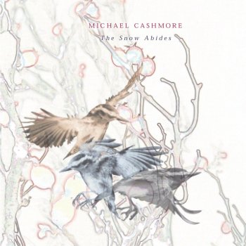 Michael Cashmore Snow No Longer