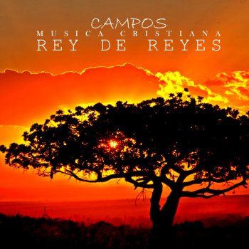 CAMPOS Santo Reino