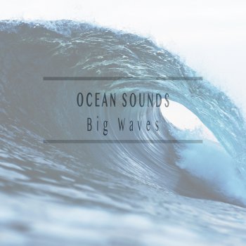 Ocean Sounds Love the Ocean