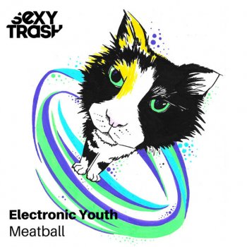 Electronic Youth Meatball