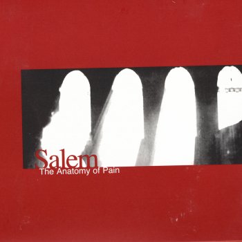 Salem Seven Gallows & a Thousand Men