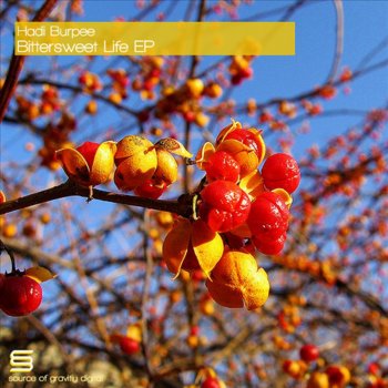 Исполнитель Hadi Burpee, альбом Bittersweet Life