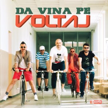 Voltaj Da Vina Pe Voltaj