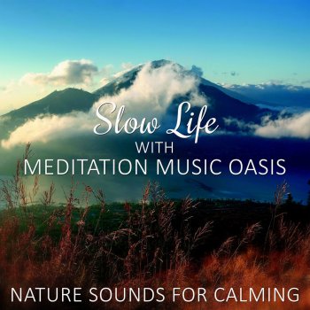 Relaxation Meditation Songs Divine Sleep Disorder Therapy