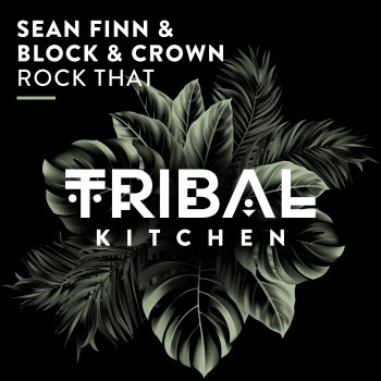 Sean Finn Rock That (Extended Mix)