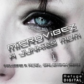 Microvibez A Junkies Mom (Roel Salemink's Let's Go Back To Detroit Remix)