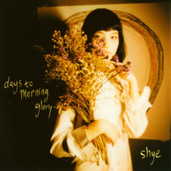 SHYE days to morning glory