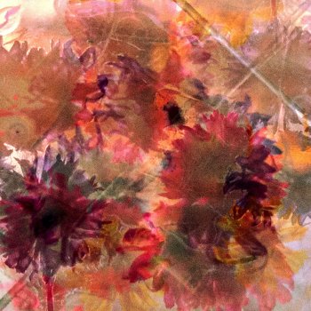 Исполнитель Allegro, альбом Zambra /  Eudaimonia - Single