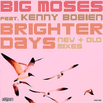 Big Moses Brighter Days (Mousse T's Fierce vocal)