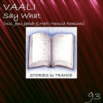 Vaali Say What (Matt Mancid Remix)