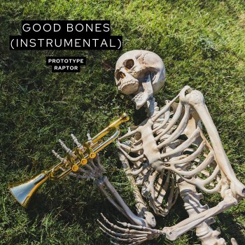 Prototyperaptor Good Bones (Instrumental)