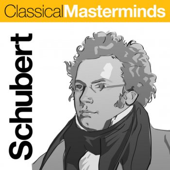 Slovak Chamber Orchestra feat. Bohdan Warchal Swan Songs, D. 957: Ständchen