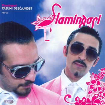 Flamingosi Ljubav