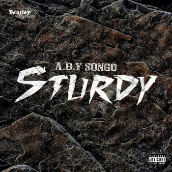 A.B.Y Songo Sturdy