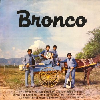 Bronco Mis Mejores Años