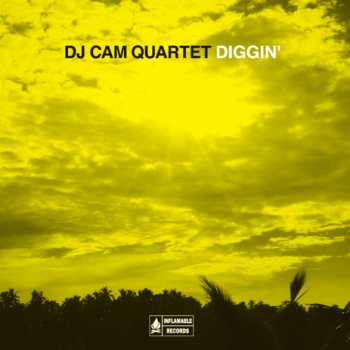 DJ Cam Quartet Mystic View