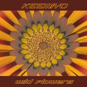 Keemiyo Keemiyo - Morning Glory