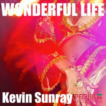 Kevin Sunray Wonderful Life