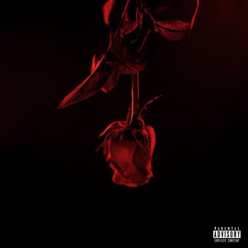 Исполнитель Pablo Novacci, альбом RNB