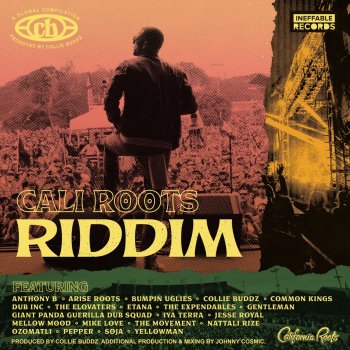 Collie Buddz Chill Out
