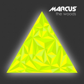 Marcus The Woods - Taemo Remix