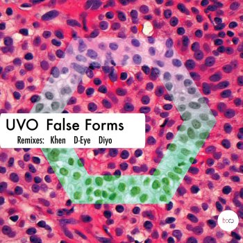 Исполнитель Uvo, альбом False Forms