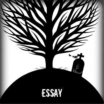 Essay More