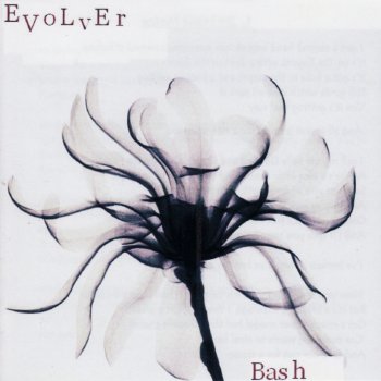 bash Art