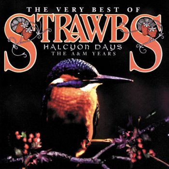Strawbs Will Ye Go