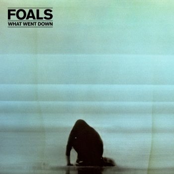 Foals Albatross