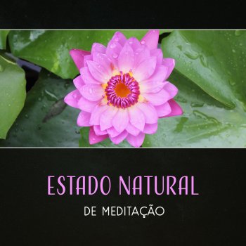 Relaxar Meditação Clube Relaxar Corpo e Mente II