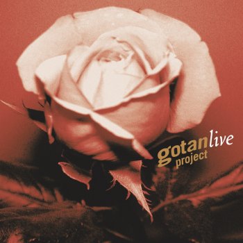 Gotan Project Live Intro