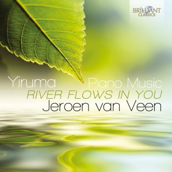 Jeroen van Veen The Things I Really