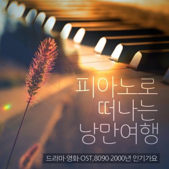 KOI 제주도의 푸른 밤