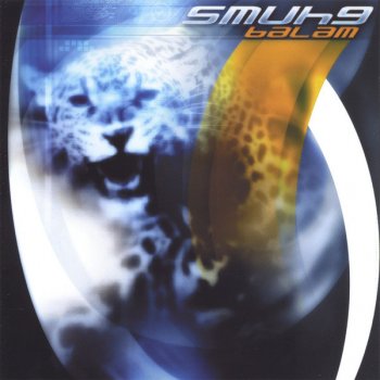 Smuhg Decode