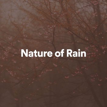 Worldwide Nature Studios Birds and Monsoon Rain