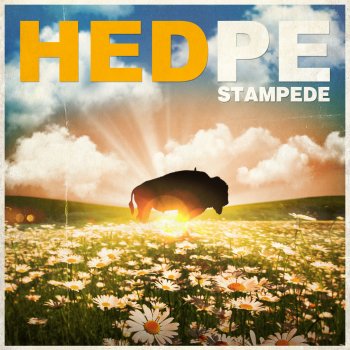 (hed) p.e. PWF