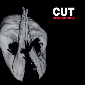 Cut Take It Back to the Start