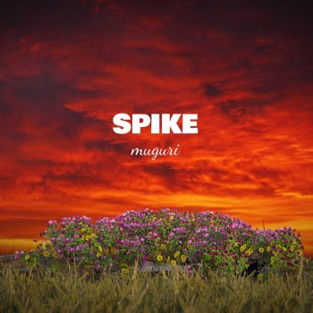 Spike Muguri