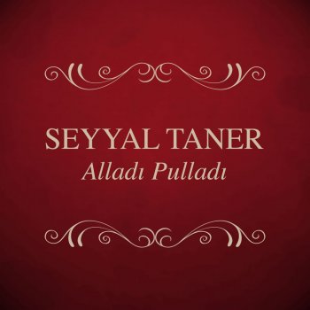 Seyyal Taner Alladı Pulladı