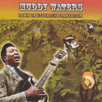 Muddy Waters Rosalie