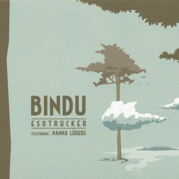 Bindu From Ignorance To Knowing