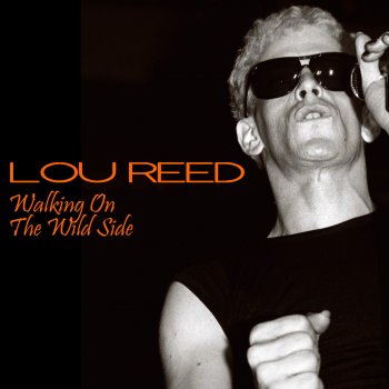 Lou Reed Rock 'N Roll