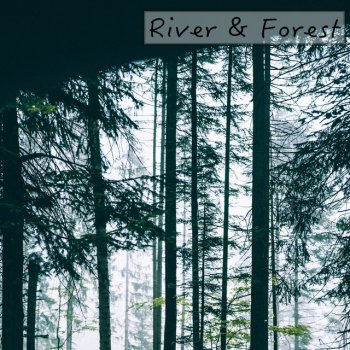 Nature Sounds Increasing Droplets