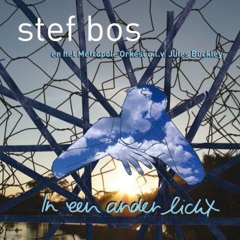 Stef Bos lied van Prediker - Alles is lucht