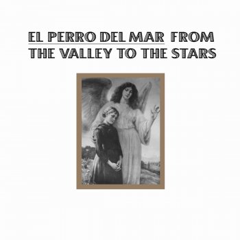El Perro del Mar You Can't Steal A Gift