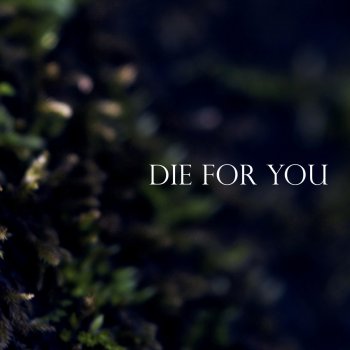 Nathan Kane Die for You