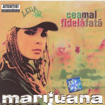 Marijuana feat. 6:6 & Sisu Fara concluzie