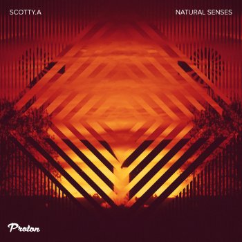Scotty.A The Heart Is a Lonely Hunter