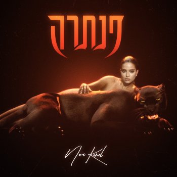 Noa Kirel פנתרה